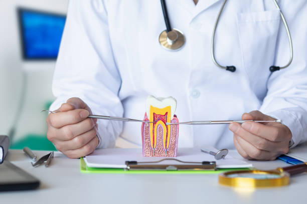 Best Emergency Tooth Extraction in Black River Falls, WI